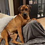 enzo9mån1 enzo9mån1