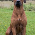 enzo10mån1 enzo10mån1