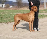 160554785_10158198546263450_4148322570844262804_n