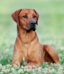 Skärmavbild 2025-10-22 kl. 13.57.05