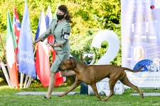 488053014_10161448461668450_1586574796543098811_n