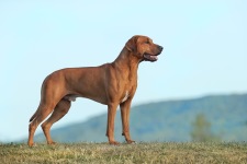 482086406_10161375799228450_3786351497969540115_n