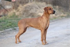 481999150_4076655862568350_5401379417423244083_n