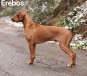 142983946_3928718183825895_4157374071863511741_n