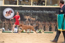 476860468_2676960069164236_2931848352560179154_n