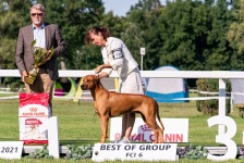 482015611_10161375798918450_4141223815731372989_n