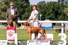 482022566_10161375799243450_1567064014129675096_n