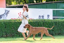 482192244_10161375798888450_2100183718480398754_n