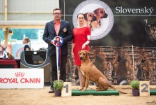 482243582_9688903447807311_3158248698886500774_n