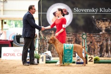 484790936_9688903517807304_5717478689254438830_n