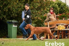 486159612_9761454393885549_5887157664408068504_n