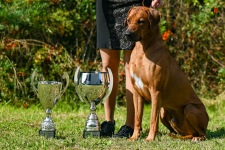 487679220_10161448461683450_4634562111819436573_n