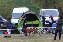 494304682_10233210752523869_1213095986700603440_n