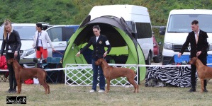 494450604_10233210752123859_590697010364406855_n