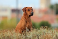 500132315_10161664976783450_4533832097298377713_n