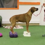 851A8340-0428-4370-9875-384810C525D9