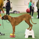 F922CDF3-B127-45A3-AC9D-6C0278F32BBC