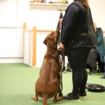 7897971D-4DF3-41DA-9B78-475881D1EA04