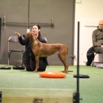 9A63A677-5777-44A4-93BD-6E36BD832D6C