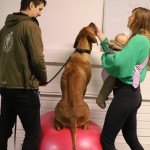 CFA52B00-4BBE-4B0B-A536-BC408B66D1F4