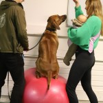 30016C64-85A3-4E09-AD2C-239D24EE6958