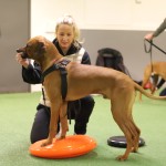 AA73A8AA-52AB-49DC-9C7F-0E3F477126C9