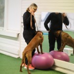 631A6D22-7A32-40D4-8C4C-F05B05B65798