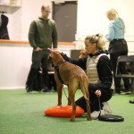 BE0F019A-4B16-46E8-AD97-BB1213CB6F66