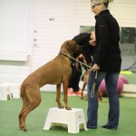 74B5FF37-1914-4A25-848A-F625A18A2601