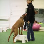 4BA37B9D-7CEC-4CED-80C7-EA52B8B957FE