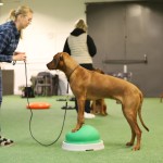 37FBB688-8BDF-4972-8FEF-0216B39254CC