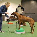 F2981E20-722A-4732-8AEC-D06CFE4B54C9