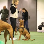 5126A076-AC2A-4271-AE9D-C1AEE66EFCA2