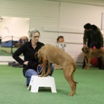 E99A886F-4732-49F6-8282-A05F5881505C