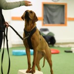 E0B8FA31-E866-402B-B899-E2392B463F15