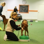 10338A3C-A913-46F9-A11C-B4316E25290A