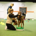 A412ED1C-8C46-40A9-99D3-FAB73907CFF9