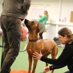 89181FA6-AD86-416F-A12D-B5B2D0CEBDD5