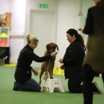 5C7F299E-D544-4CD7-83EB-27873F744E27