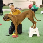 DD943538-D6D5-4CC8-B24A-87943106FD45