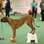 7C88A190-B451-419B-A93C-0D69593CAED0