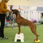 EC954759-EA42-4367-819F-C2CBE40B5602