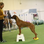 05C5DC15-A9DC-4538-9571-66A608402261