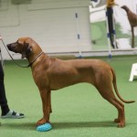 AFA98579-A754-40B8-8D24-8D5C887C2871