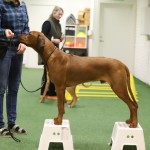 4CEB3AB0-8C47-4D01-9001-63220058975F