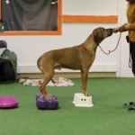 6E1FB53D-FD83-4C86-A24C-939EF3F3F69A