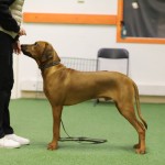 347BC1A4-F68F-412E-9F81-79D0B791AA2E