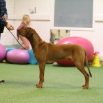 0A3030CC-2DC8-4413-B617-7925D7E273D8