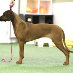 9C0AC070-FD23-4BB4-B4F1-CFE7E2E9F0D5