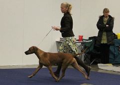 mydog_dag2_gaya1